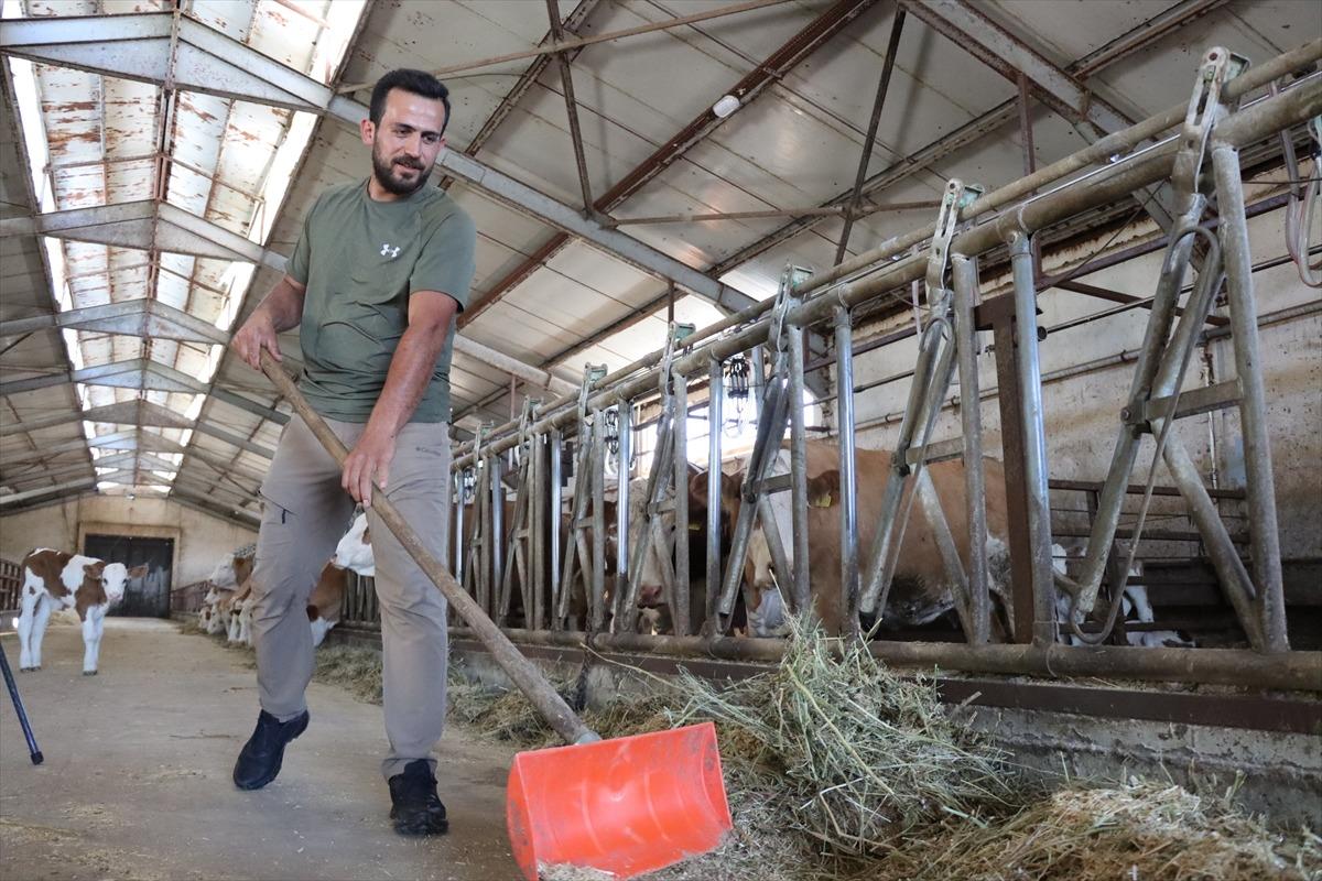 Memuriyeti çözüm yolu gibi görmesinler Üniversiteden mezun olunca o işe başladı 3