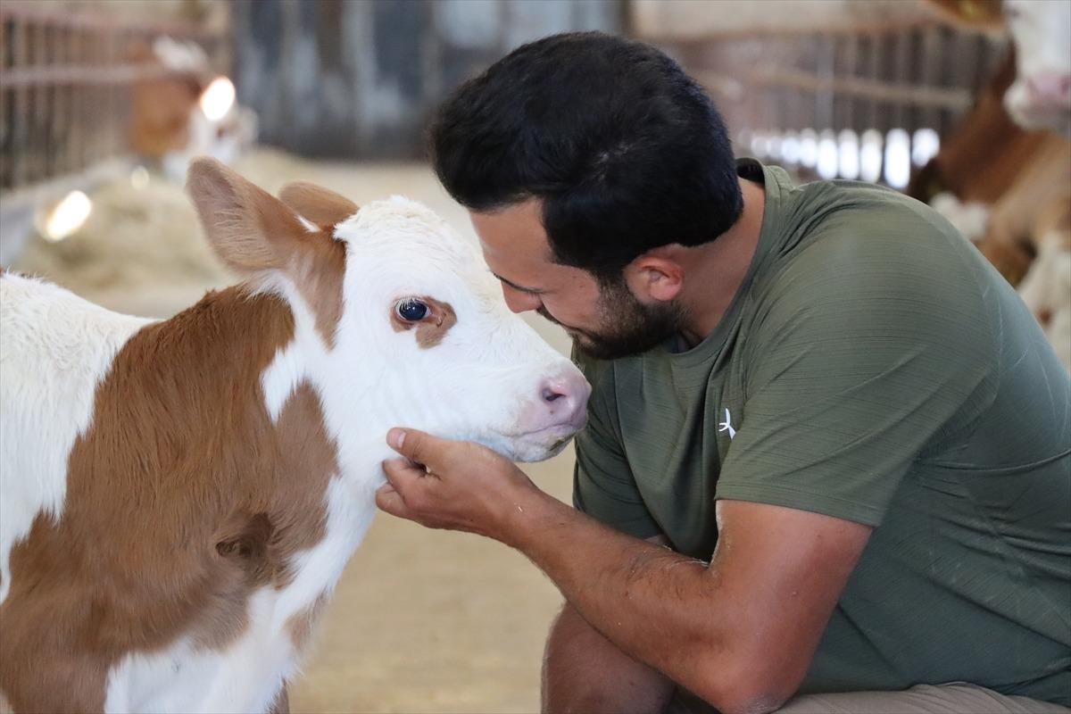 Memuriyeti çözüm yolu gibi görmesinler Üniversiteden mezun olunca o işe başladı 5