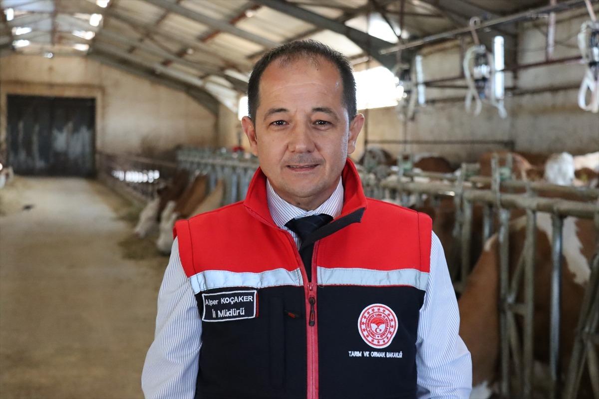 Memuriyeti çözüm yolu gibi görmesinler Üniversiteden mezun olunca o işe başladı 6