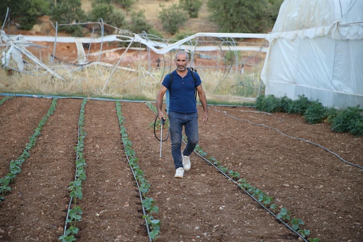 T&uuml;m k&ouml;y 365 g&uuml;n yapıyor: Ge&ccedil;im kaynağı oldu, giden geri d&ouml;nd&uuml; 9