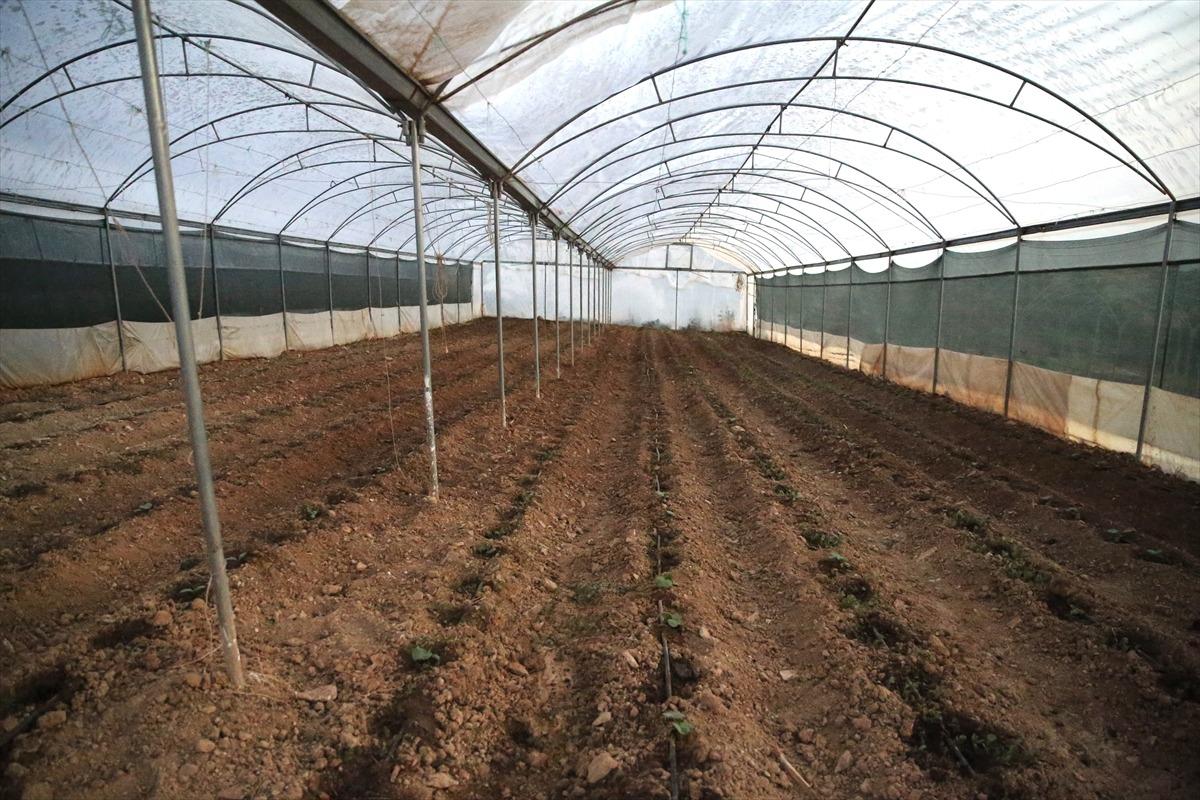T&uuml;m k&ouml;y 365 g&uuml;n yapıyor: Ge&ccedil;im kaynağı oldu, giden geri d&ouml;nd&uuml; 14