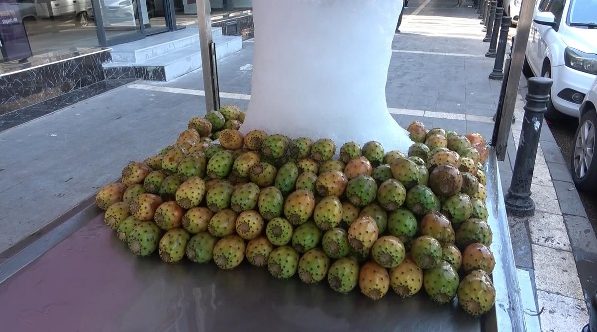 Kavurucu sıcağa doğal çözüm! Tanesi 25 TL den yok satıyor 2