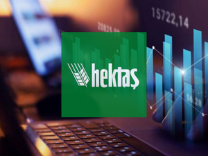 Hektaş (HEKTS) bedelsiz potansiyeli değişti