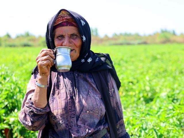 G&uuml;n doğmadan başlıyorlar! Bir g&uuml;nde 700 kasa topluyorlar