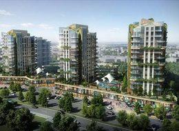 Kredi notunda zirve Nef'in