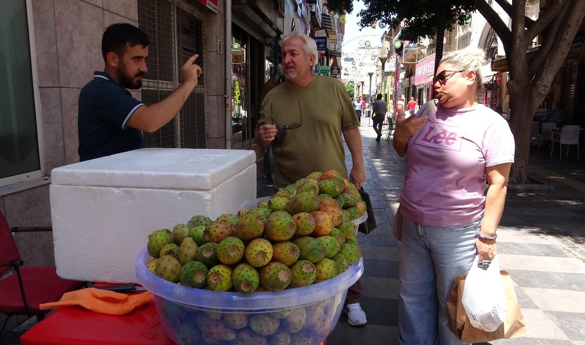 Yılda sadece 1 kez çıkıyor! Dışı dikenli tadı bal: 20 liradan kapış kapış gidiyor 2