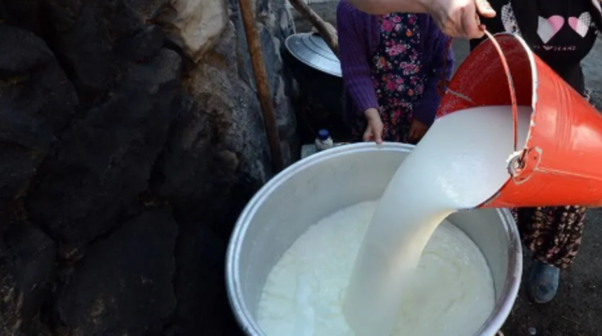 S&uuml;t &uuml;retiminde maliyetler d&uuml;şt&uuml;, g&ouml;zler market raflarına &ccedil;evrildi
