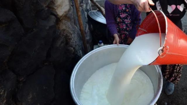 Süt üretiminde maliyetler düştü, gözler market raflarına çevrildi