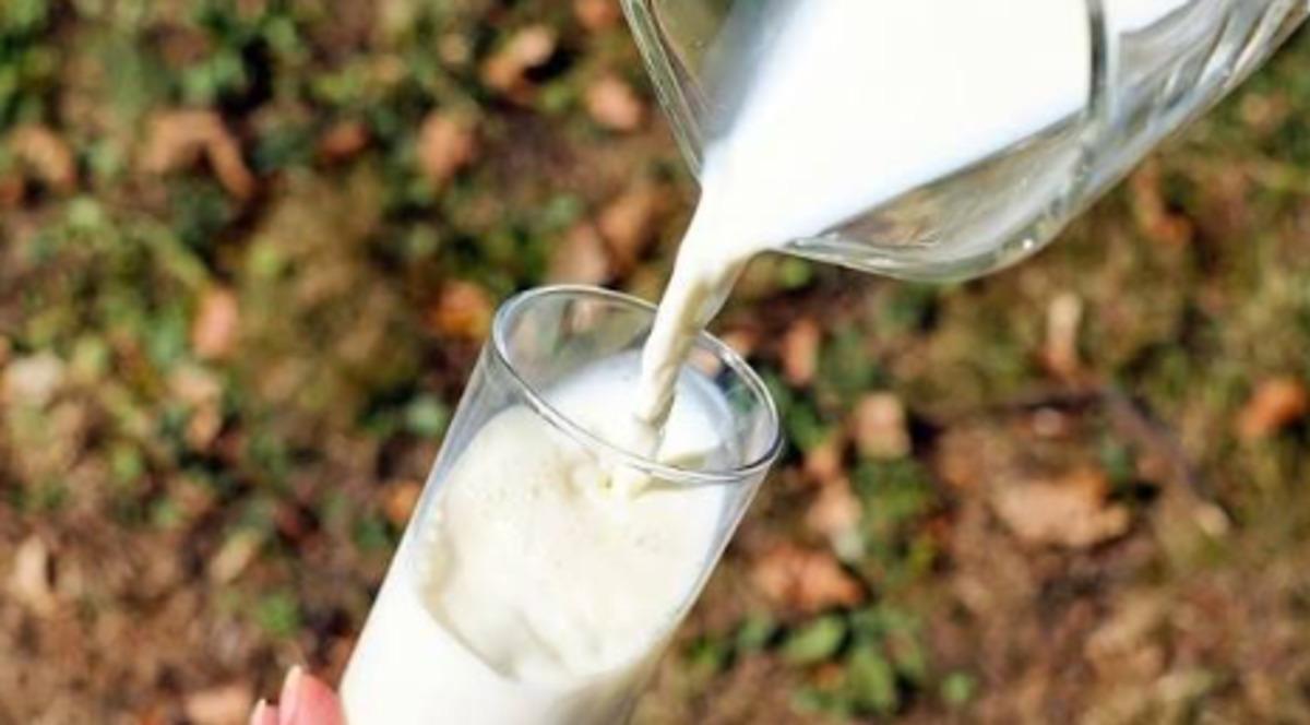 Süt üretiminde maliyetler düştü, gözler market raflarına çevrildi 2