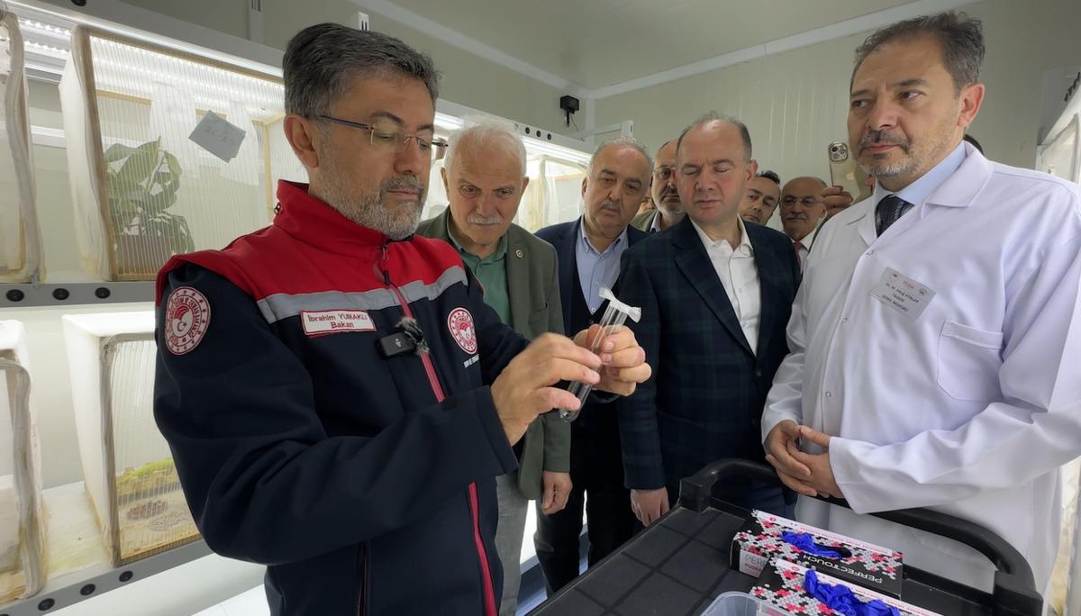 Bakanlık harekete geçti! 1 milyon 650 bin samuray arısı doğaya salındı 1