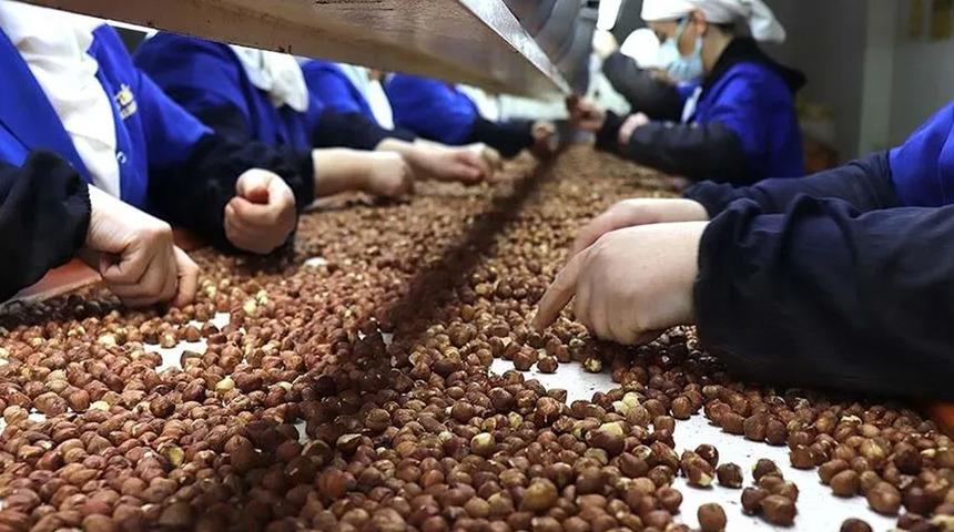 T&uuml;rkiye'nin fındık ihracatının y&uuml;zde 34,76'sı Trabzon'dan yapıldı