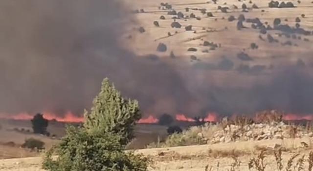Seyitgazi’de tarım arazisinde yangın çıktı 1