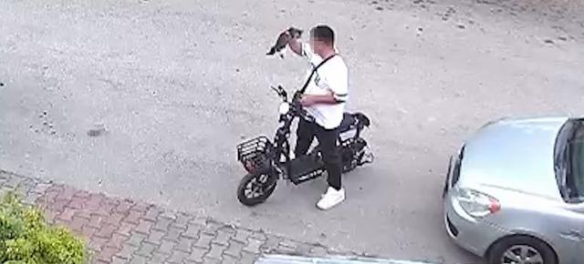 Yavru kediyi önce öpüp sonra boğmuştu, gözaltına alındı 5