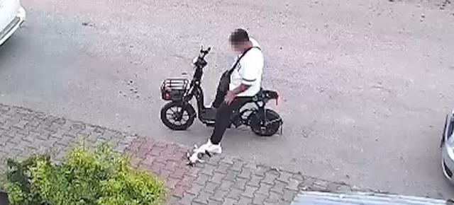 Yavru kediyi önce öpüp sonra boğmuştu, gözaltına alındı 2