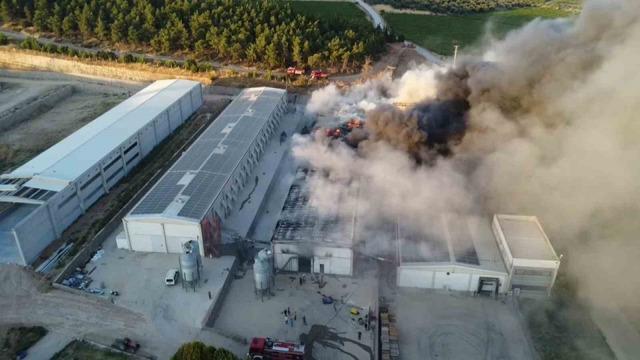 Alevler yumurta &uuml;retim tesisini k&uuml;le &ccedil;evirdi 2
