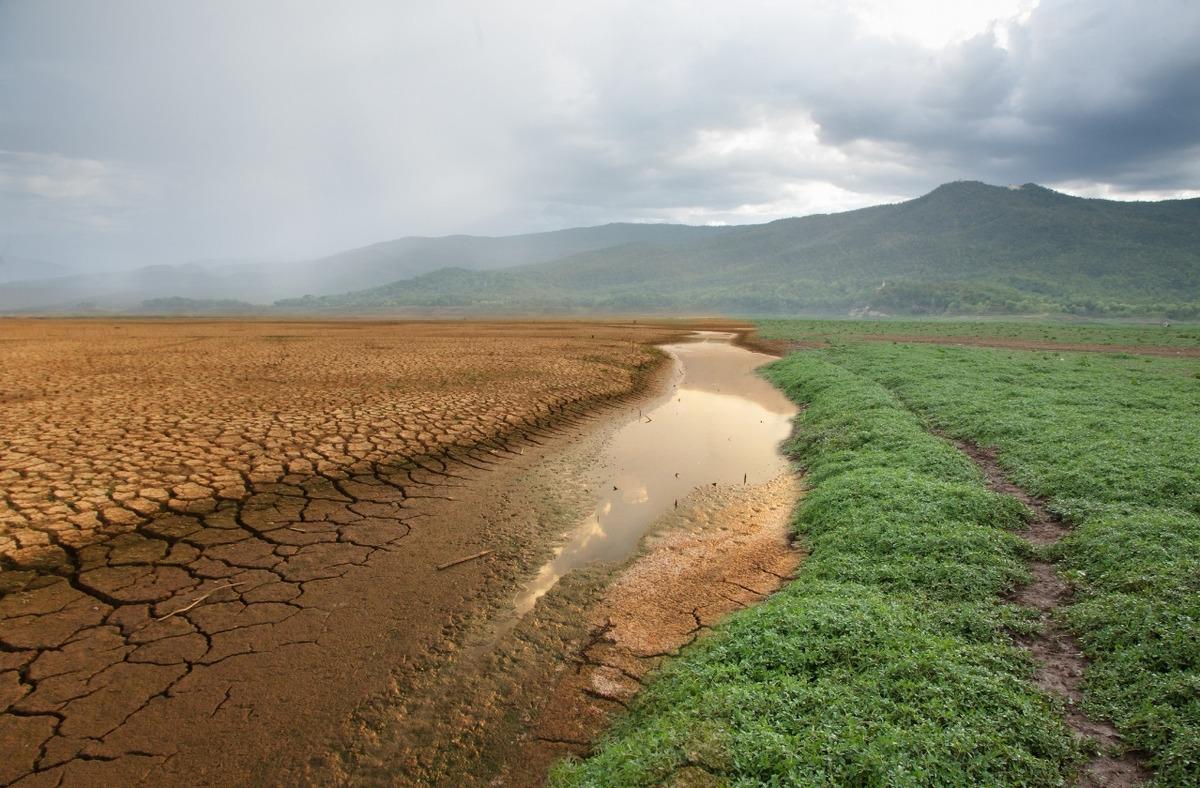 Küresel iklim krizinde IPCC 1