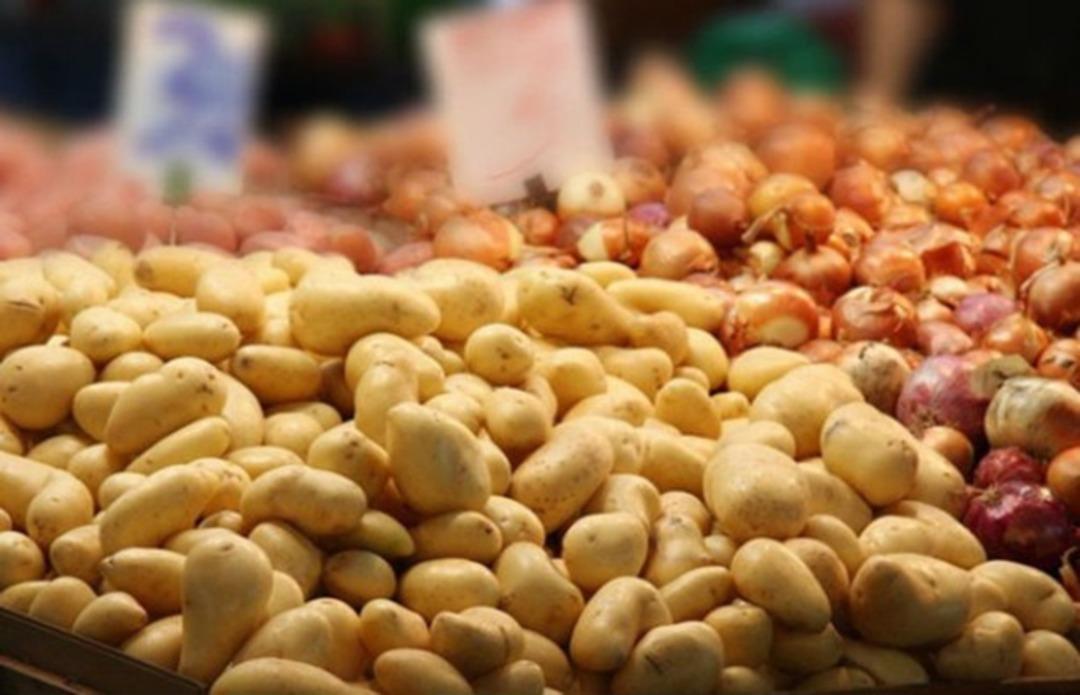 Soğan tarlada 1 lira