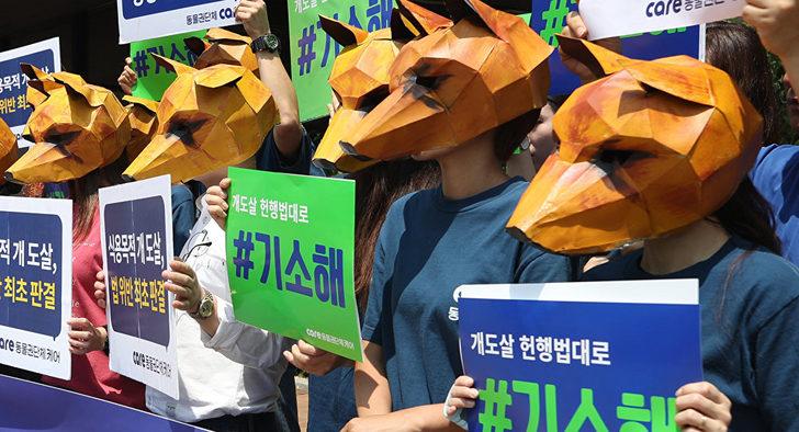 Güney Kore'de köpeklerin eti için öldürülmesi konusunda emsal karar