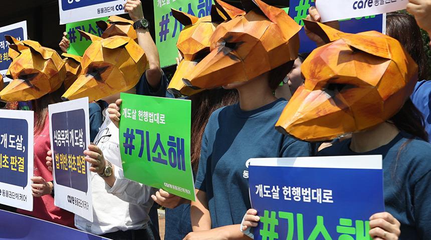 G&uuml;ney Kore'de k&ouml;peklerin eti i&ccedil;in &ouml;ld&uuml;r&uuml;lmesi konusunda emsal karar