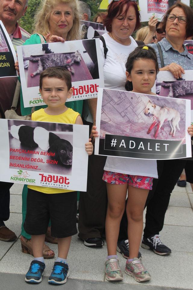 Hayvanlara işkence protesto edildi 1