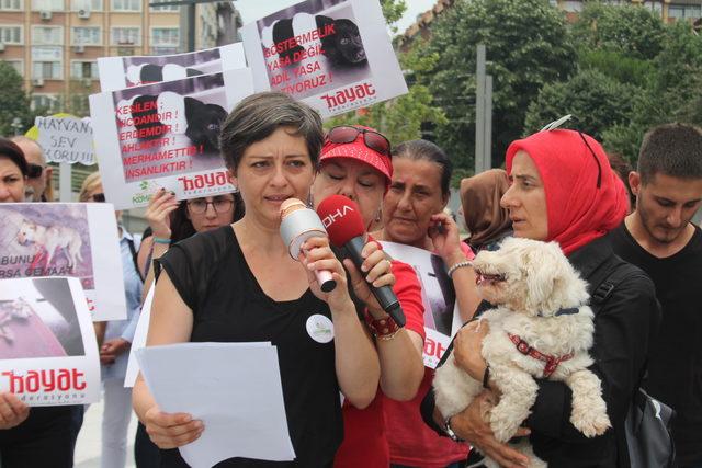 Hayvanlara işkence protesto edildi 2