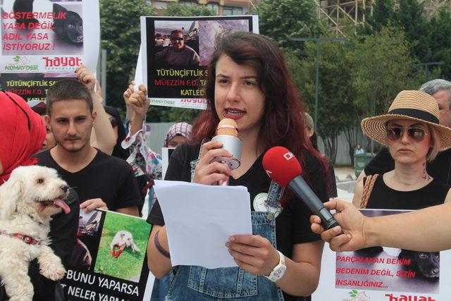 Hayvanlara işkence protesto edildi 3