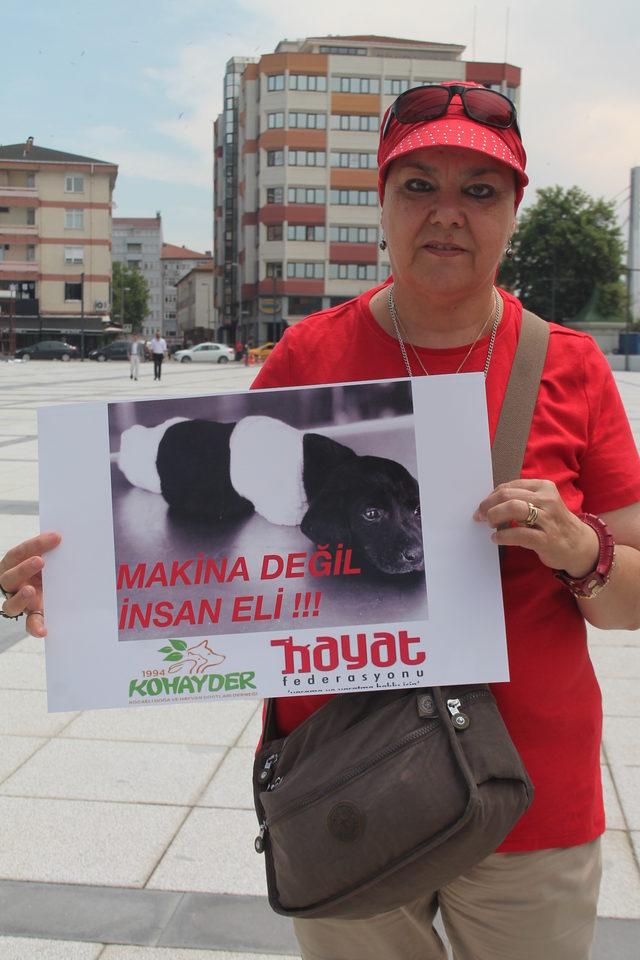 Hayvanlara işkence protesto edildi 4