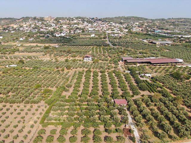 D&uuml;nya &ccedil;apında &uuml;ne sahip: Fiyatı 350 TL'ye &ccedil;ıktı, orayı &ccedil;ok sevdi