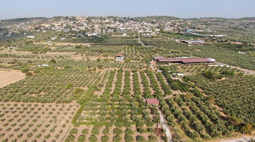 D&uuml;nya &ccedil;apında &uuml;ne sahip: Fiyatı 350 TL'ye &ccedil;ıktı, orayı &ccedil;ok sevdi