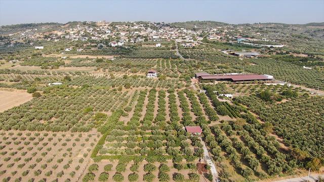 Dünya çapında üne sahip: Fiyatı 350 TL'ye çıktı, orayı çok sevdi