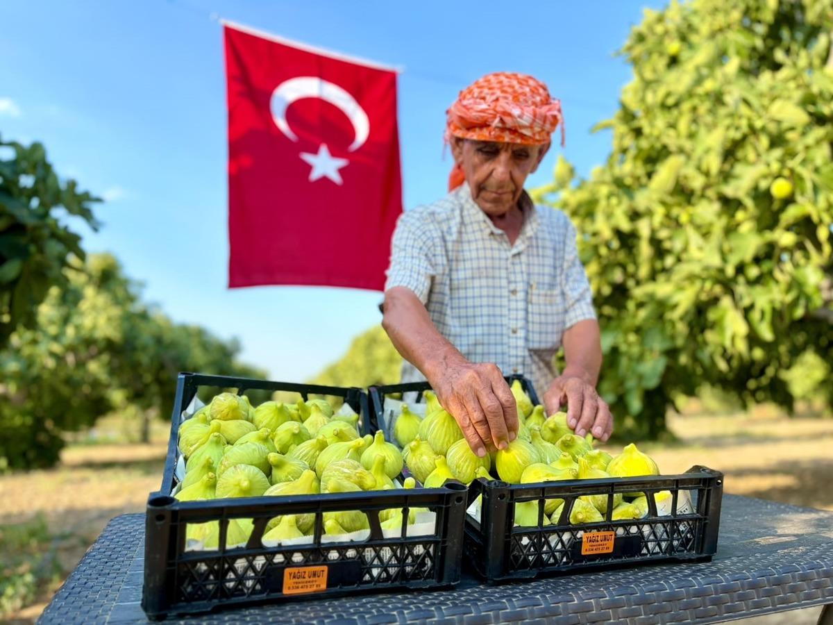 Dünya çapında üne sahip: Fiyatı 350 TL ye çıktı, orayı çok sevdi 1