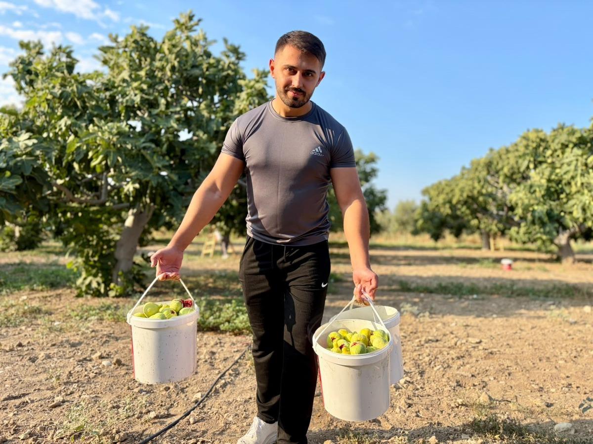 Dünya çapında üne sahip: Fiyatı 350 TL ye çıktı, orayı çok sevdi 4