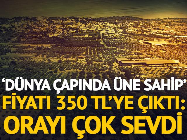 D&uuml;nya &ccedil;apında &uuml;ne sahip: Fiyatı 350 TL'ye &ccedil;ıktı, orayı &ccedil;ok sevdi
