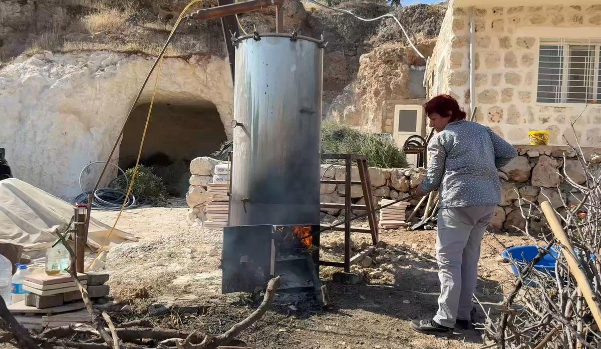 40 yıldır boştu! Kadınlar o araziyi mor cennete dönüştürdü 7