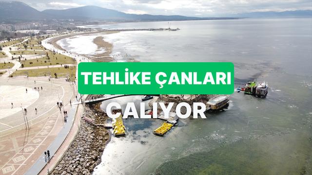 Göz Göre Göre Yok Oluyorlar: Türkiye'nin Kuruma Tehlikesi Altındaki Cennet Köşeleri