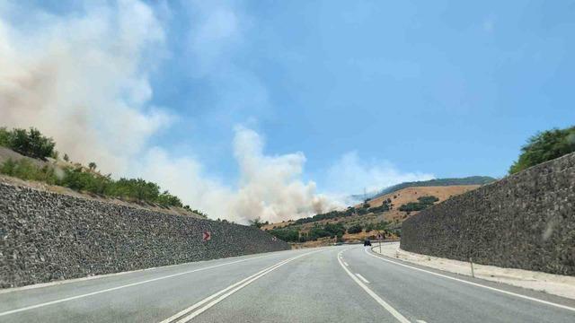 Tunceli’de orman yangını: Havadan ve karadan müdahaleye başlandı 4