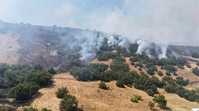 Tunceli’de orman yangını: Havadan ve karadan müdahaleye başlandı 1