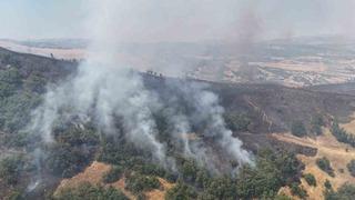 Tunceli’de orman yangını: Havadan ve karadan müdahaleye başlandı
