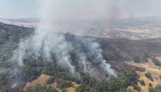 Tunceli&rsquo;de orman yangını: Havadan ve karadan m&uuml;dahaleye başlandı