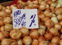 Soğan halde 3,5 pazarda 7 lira, nedeni stokçular mı?