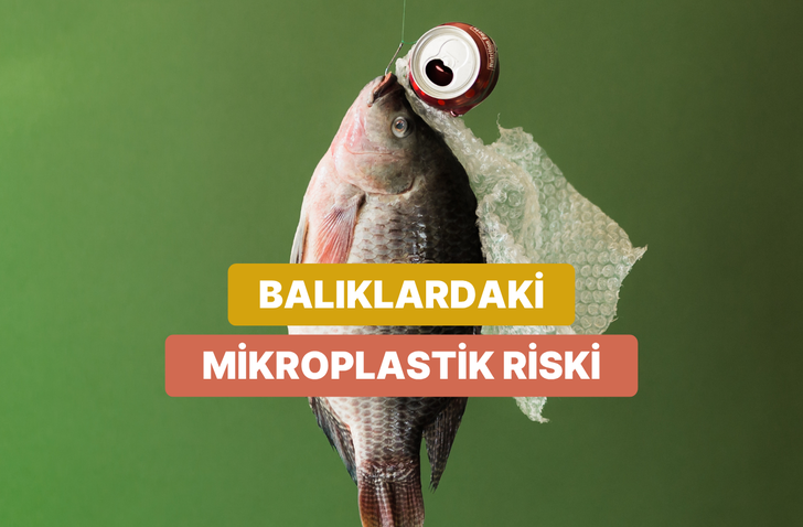 Yediğimiz Balıkların İ&ccedil;inden &Ccedil;ıkan Mikroplastikler Sağlığımızı Nasıl Tehdit Ediyor?
