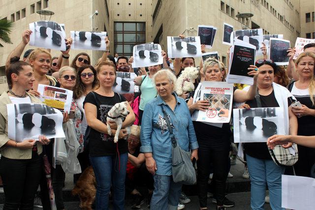 Avukat Babacan: Yavru köpeğin bakışlarını hiç unutmayacağız