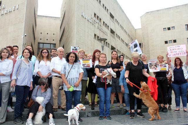 Avukat Babacan: Yavru köpeğin bakışlarını hiç unutmayacağız