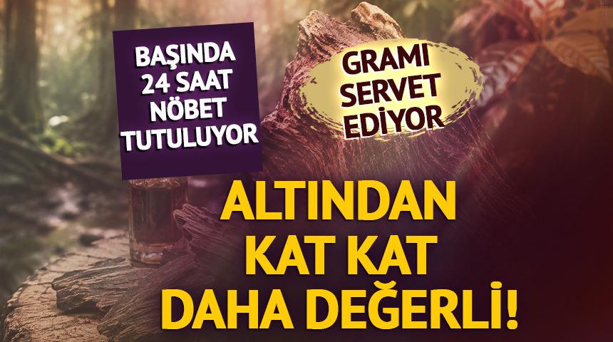 Altından kat kat değerli! Gramı 10 bin dolar, başında n&ouml;bet tutuluyor