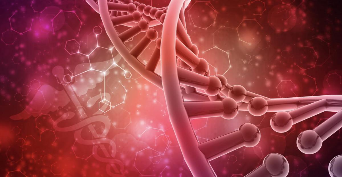 Yediğimiz Balıkların İçinden Çıkan Mikroplastikler Sağlığımızı Nasıl Tehdit Ediyor? 5