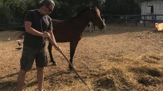  Ünlü oyuncu Sinan Albayrak doğal yaşamın tadını çıkarıyor