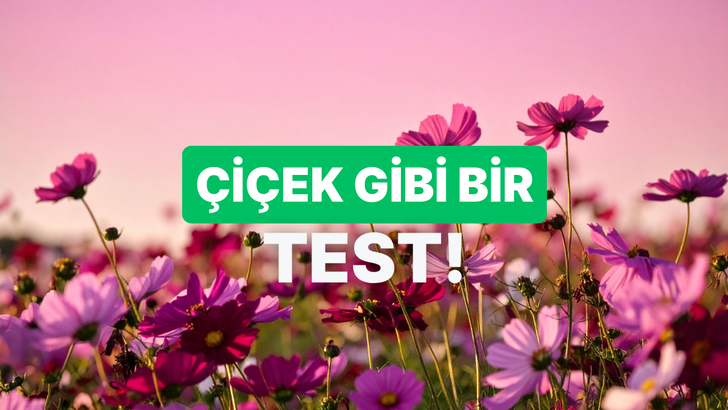 Hangi &Ccedil;i&ccedil;ek Hangi Zamanda A&ccedil;ar? Sadece Ger&ccedil;ek Doğa Tutkunlarının Fulleyebileceği Botanik Testi!