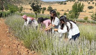 40 yıldır boştu! Kadınlar o araziyi mor cennete d&ouml;n&uuml;şt&uuml;rd&uuml;