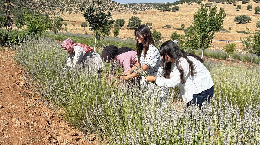 40 yıldır boştu! Kadınlar o araziyi mor cennete d&ouml;n&uuml;şt&uuml;rd&uuml;