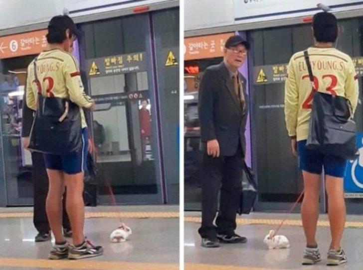 Bunları sadece Japonya'da görebilirsiniz! G5